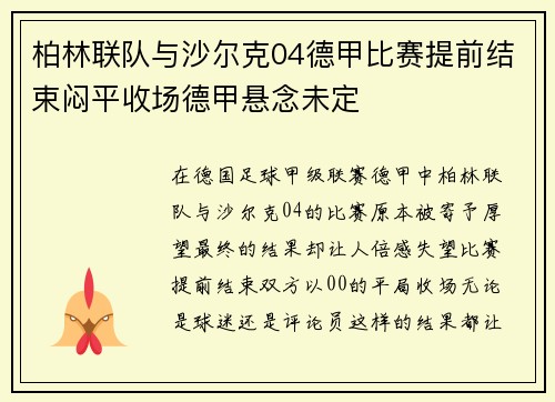 柏林联队与沙尔克04德甲比赛提前结束闷平收场德甲悬念未定